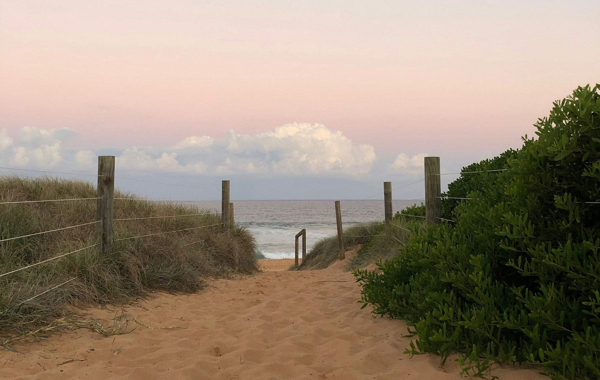 Fall/Winter Collection